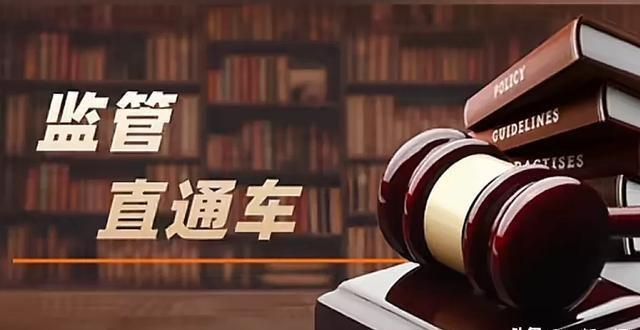 证监会处罚名单证监会处罚名单公布，揭示市场乱象与监管力度加强