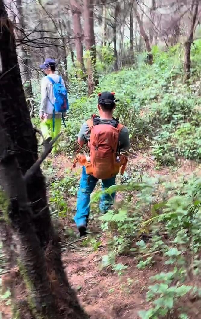 云南大理一7岁小孩在苍山走失云南大理一7岁小孩苍山走失的惊险经历与搜救行动